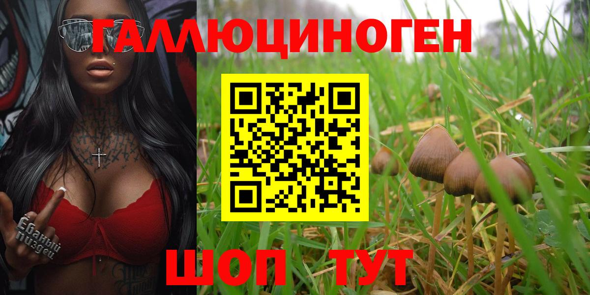 где можно купить   Псилоцибиновые грибы Psilocybine cubensis  Псилоцибиновые грибы Psilocybe  Вход с VPN  Магнитогорск 